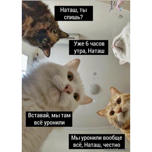 тест